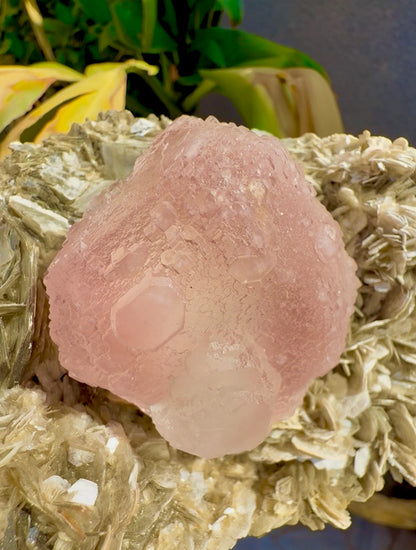 Pink Fluorite on Mica from Pakistan , 1436 gram