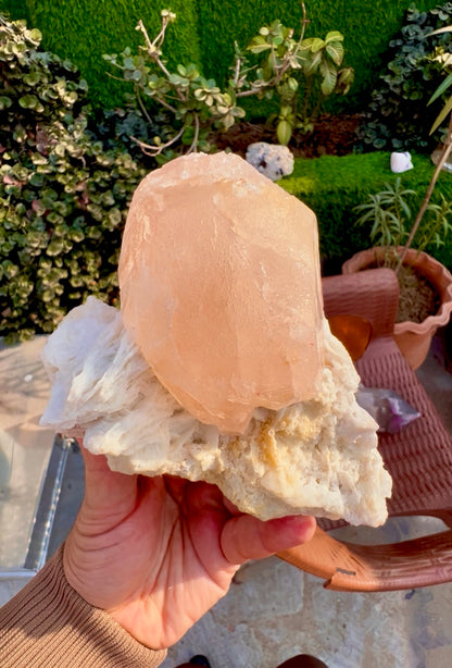 Morganite with Mica and Albite from Afghanistan, 699 gram