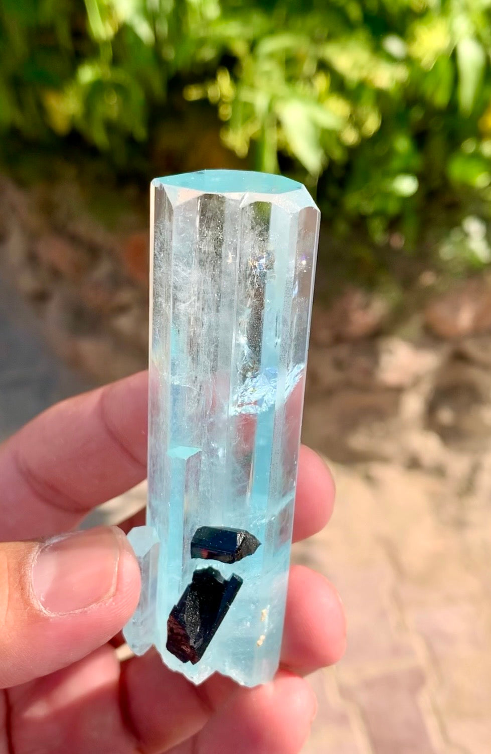 Aquamarine crystal with Schorl Tourmaline, 79 gram