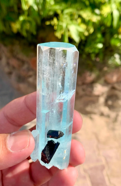 Aquamarine crystal with Schorl Tourmaline, 79 gram