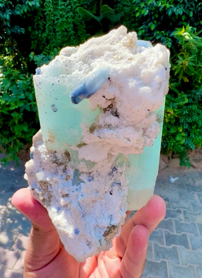 Aquamarine with Blue Indicolite Quartz and Albite from Afghanistan, 1277 gram
