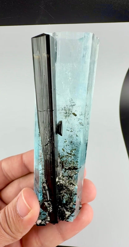 Aquamarine Crystal with Schorl from Pakistan, 160 Gram