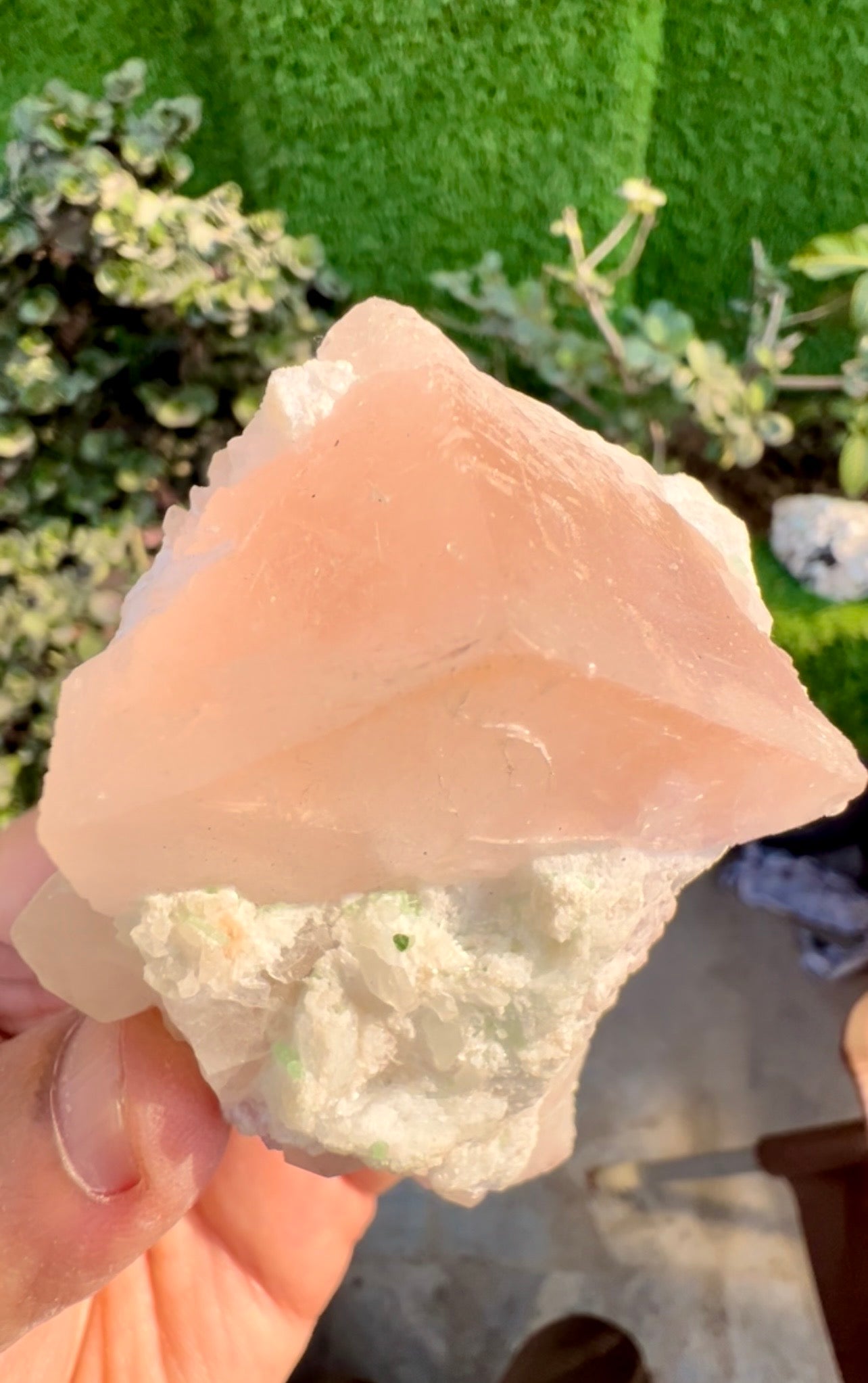 Morganite with Kunzite, Lepidolite and Quartz from Afghanistan, 154 gram