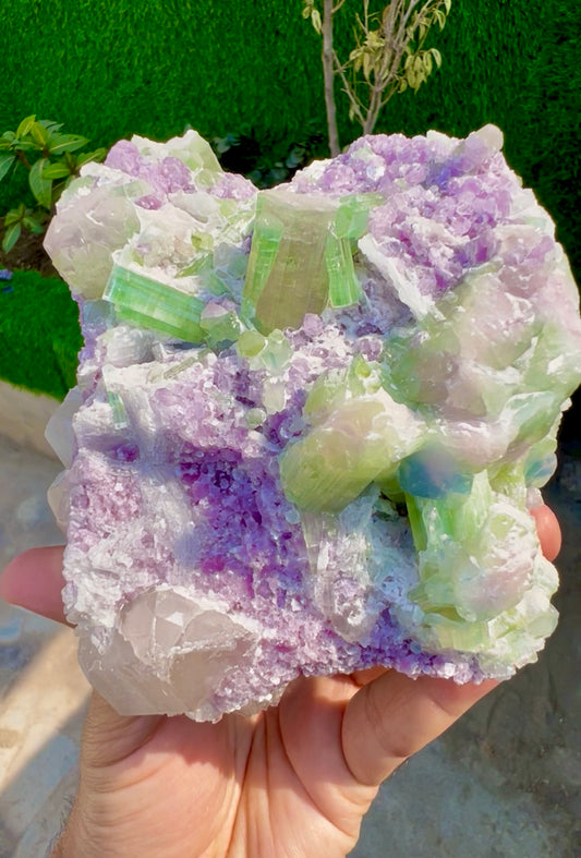 Watermelon Tourmaline Crystals with Lepidolite and Quartz from Paprok, 1300 gram