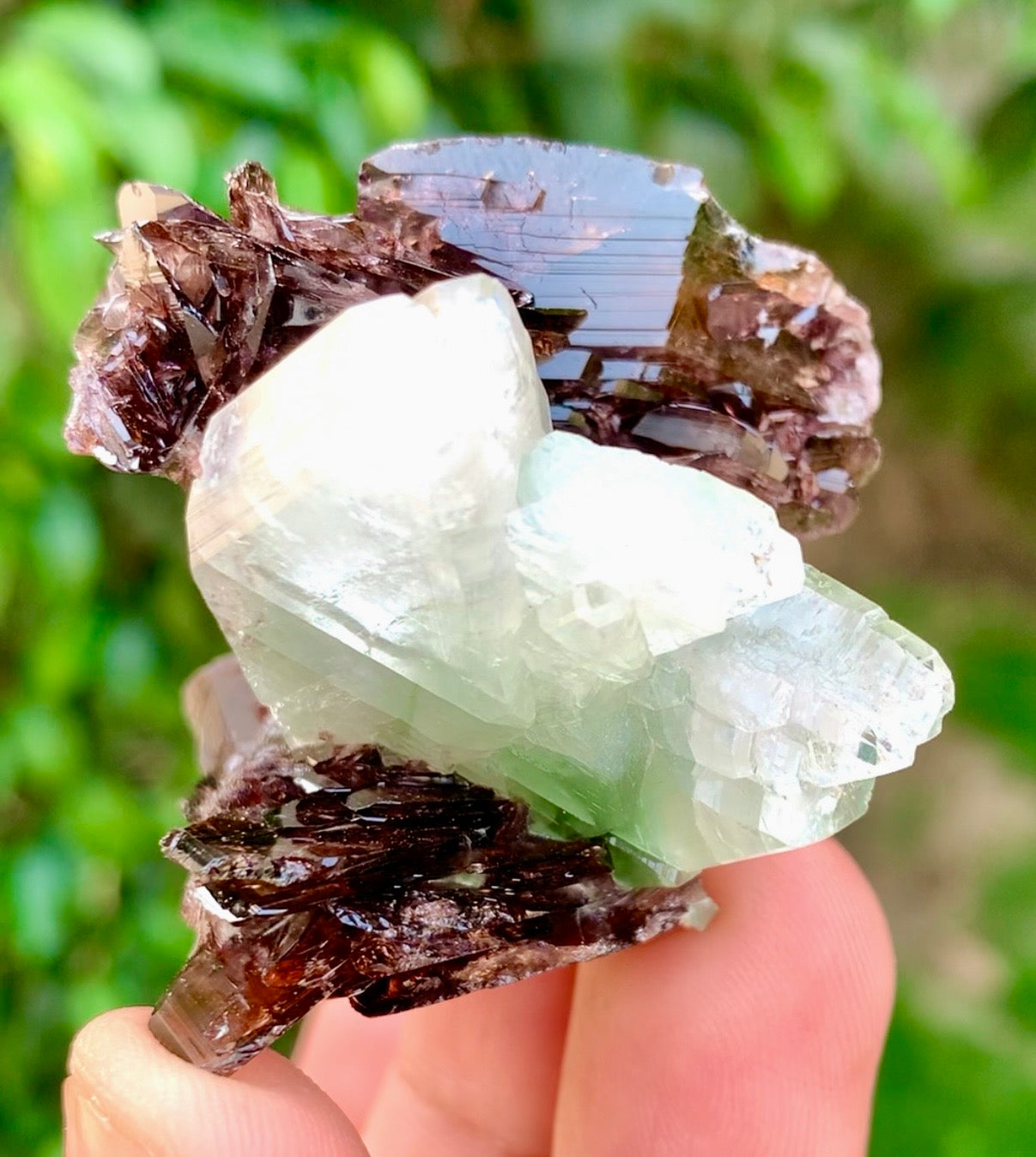 Axinite crysals with Pericline from Pakistan, 58 gram