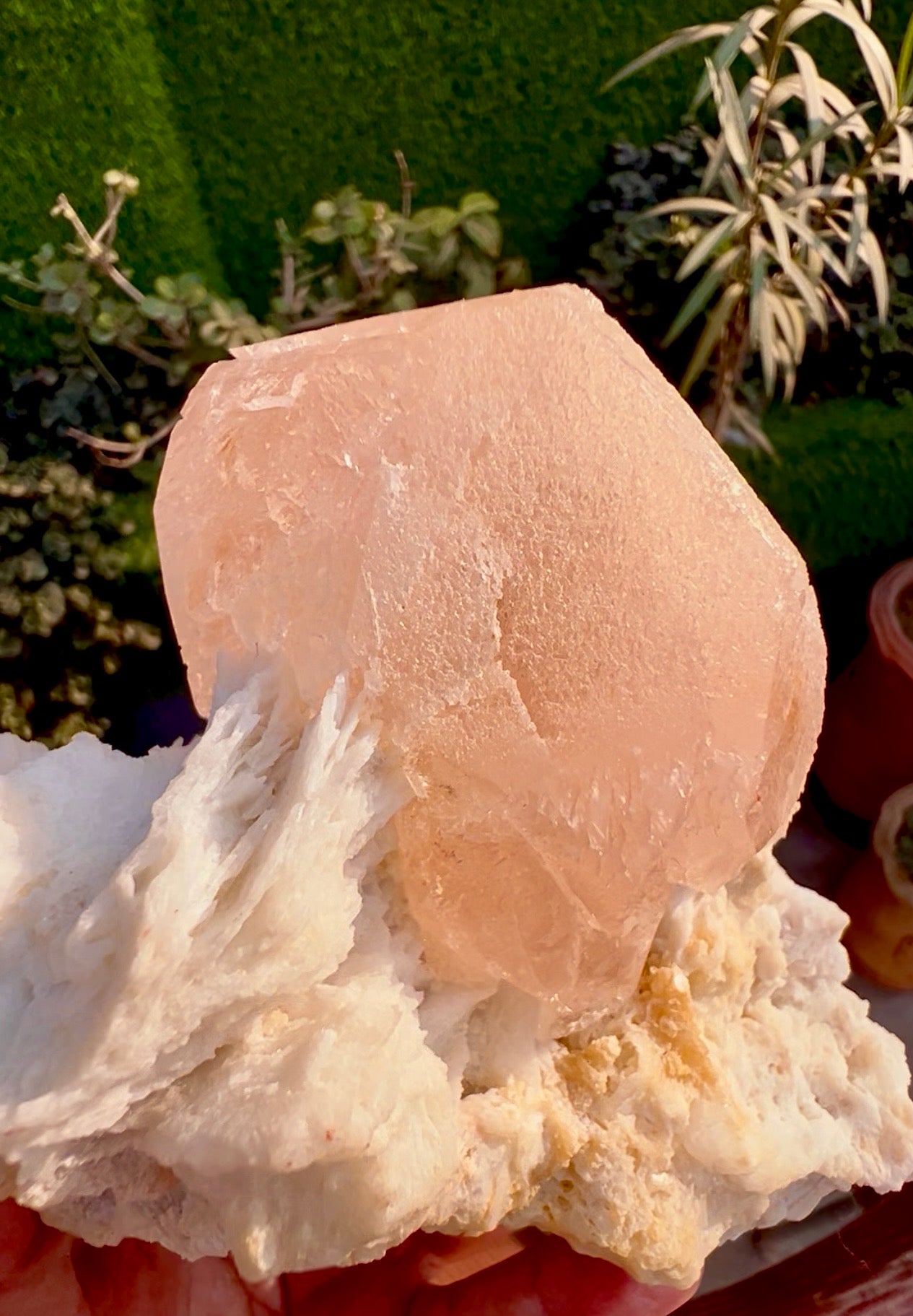 Morganite with Mica and Albite from Afghanistan, 699 gram