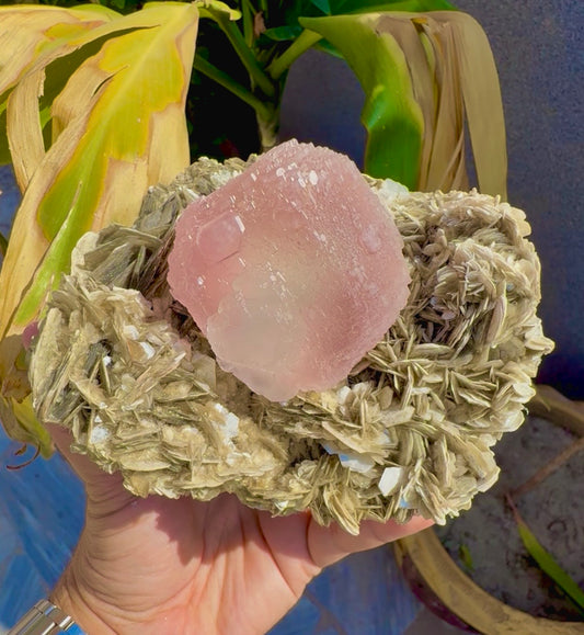Pink Fluorite on Mica from Pakistan , 1436 gram