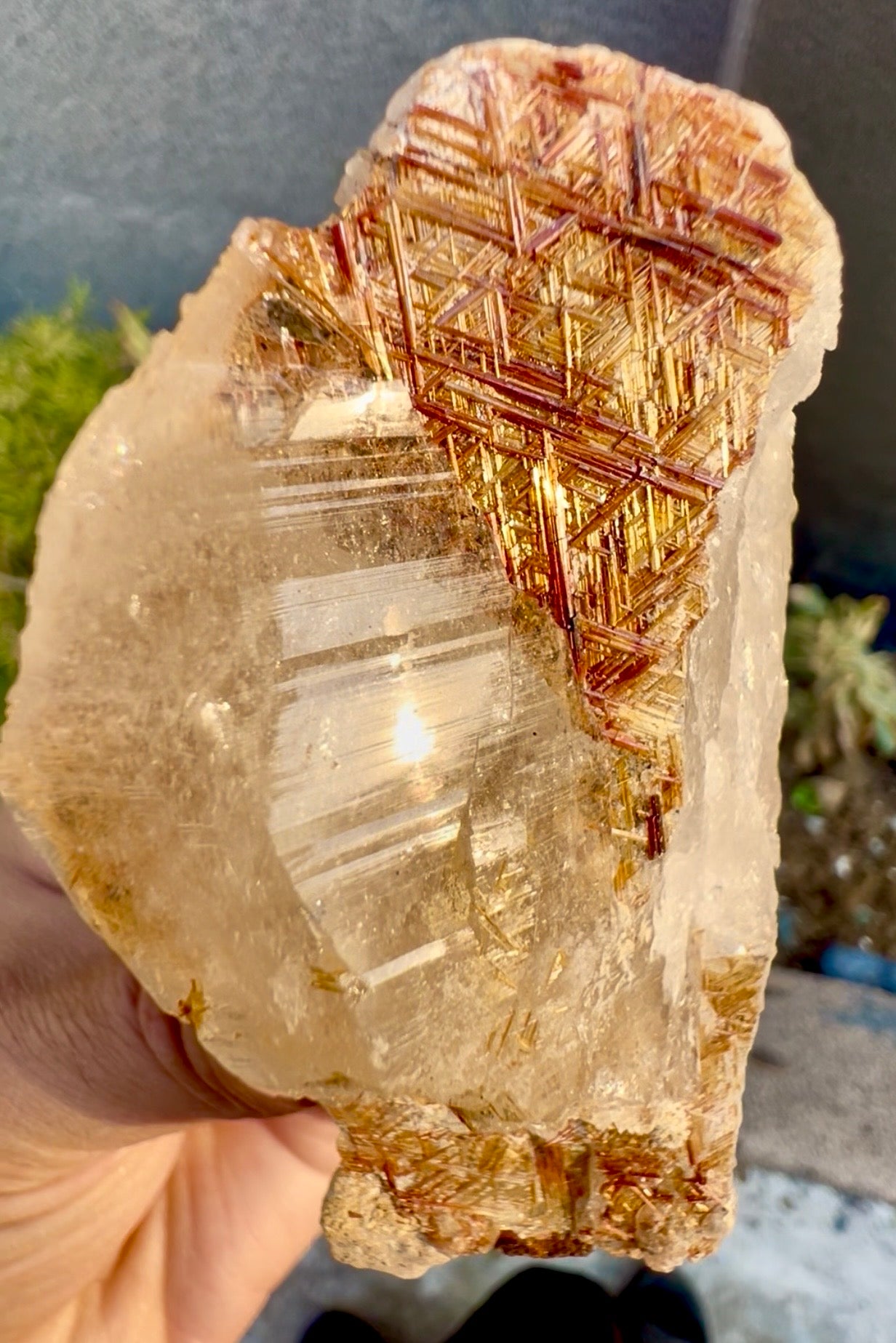 Sagenite Rutile on Quartz Crystal Specimen, Pakistan, 199 gram