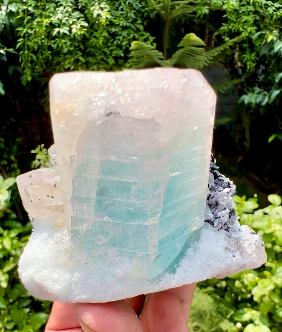 AquaMorganite Beryl with Tourmalines and Quartz on Albite from Afghanistan, 322 gram