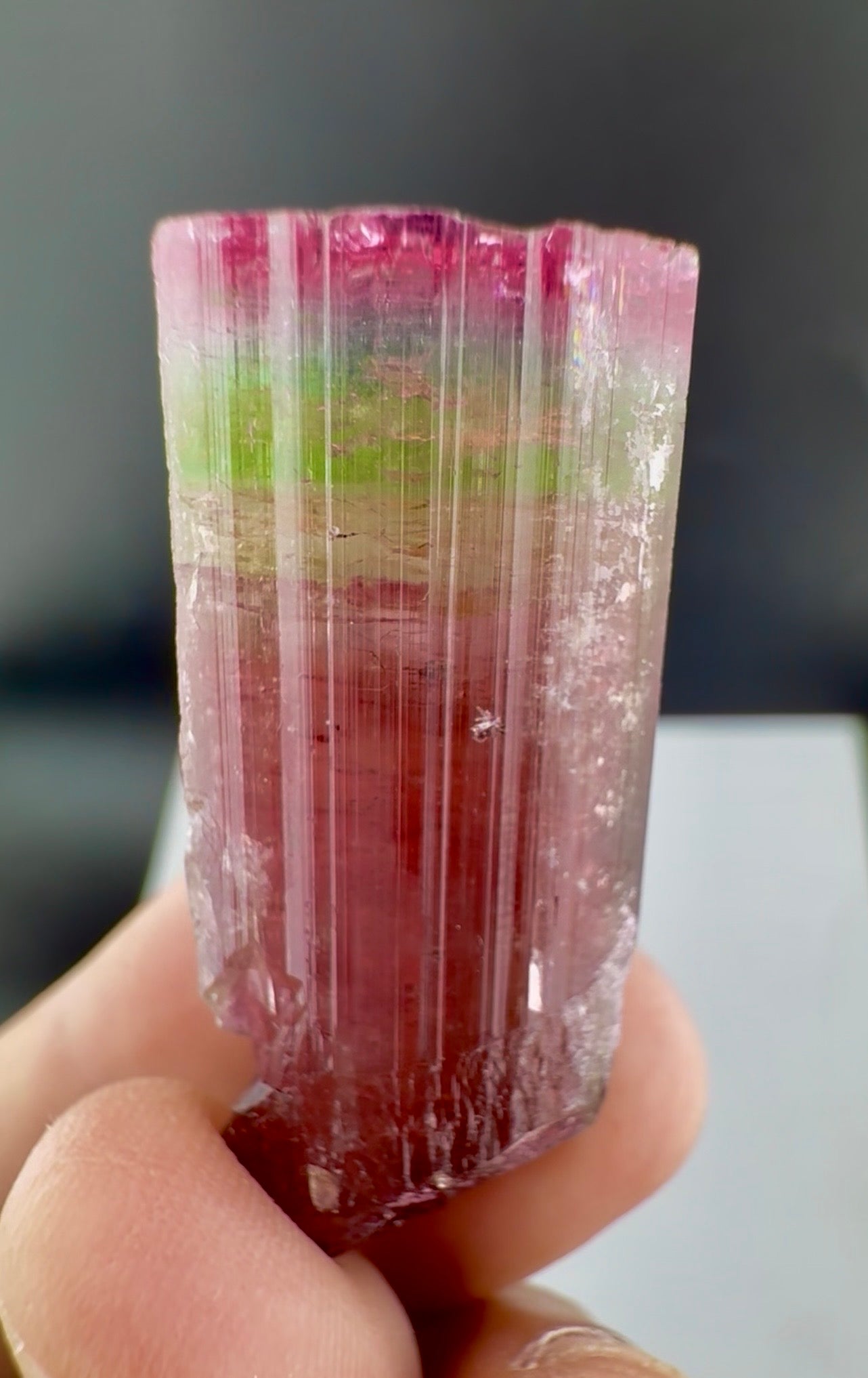Rainbow Tourmaline crystal from Afghanistan, 125 carats
