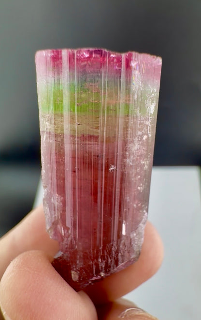 Rainbow Tourmaline crystal from Afghanistan, 125 carats