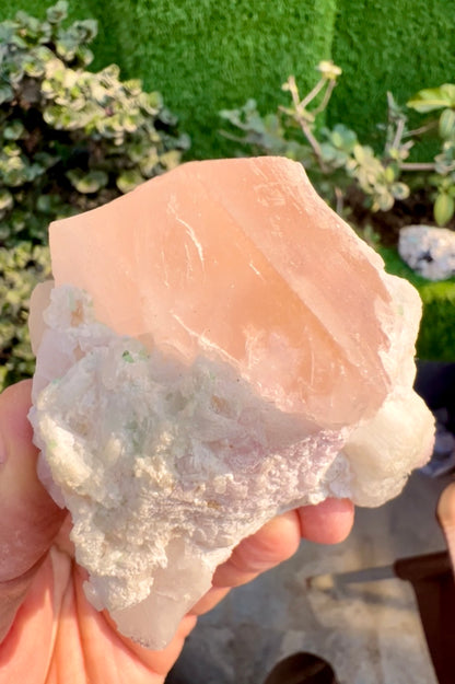 Morganite with Kunzite, Lepidolite and Quartz from Afghanistan, 154 gram