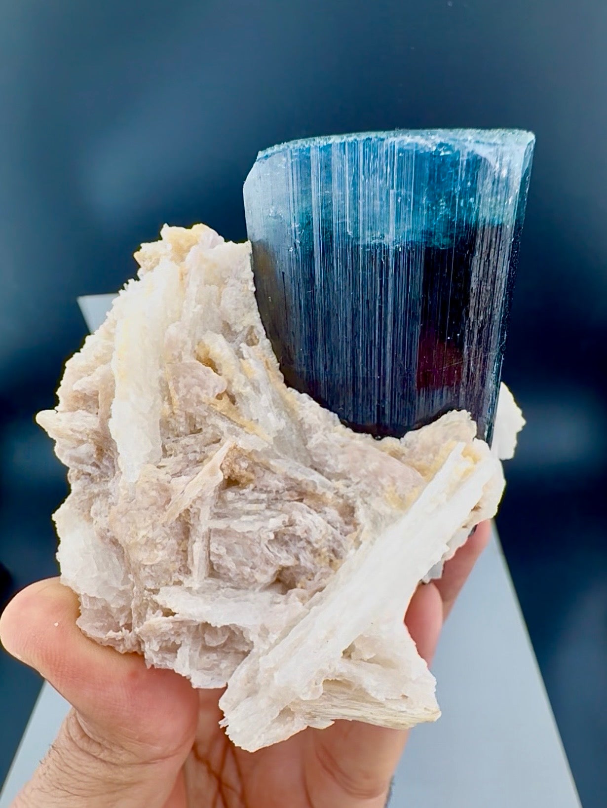 Blue Cap Tourmaline with Cleavlandite Albite from Afghanistan, 310 gran