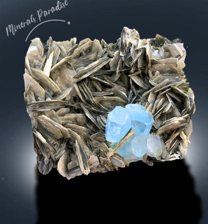 Natural Aquamarine Crystals with Muscovite Mica, Aquamarine Cluster, Aquamarine Specimen, Aquamarine for sale, 1441 gram