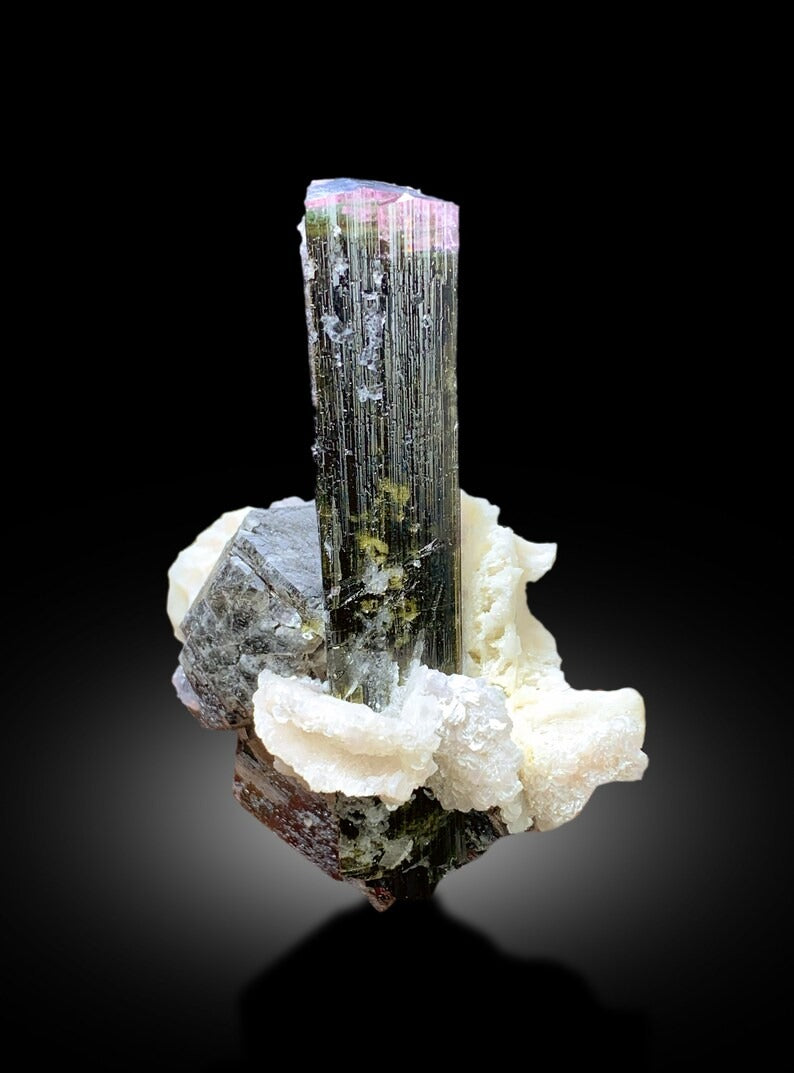 Natural Tricolor Tourmaline with Smoky Quartz and Cleavelandite Albite, Tourmaline Specimen from Astak Nala Mine Skardu Pakistan - 94 gram