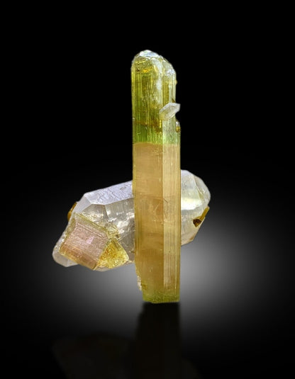 Natural Watermelon Tourmaline Crystal with Quartz, DT Tourmaline & DT Quartz, Paproke Tourmaline, Tourmaline Specimen - 67.50 CT