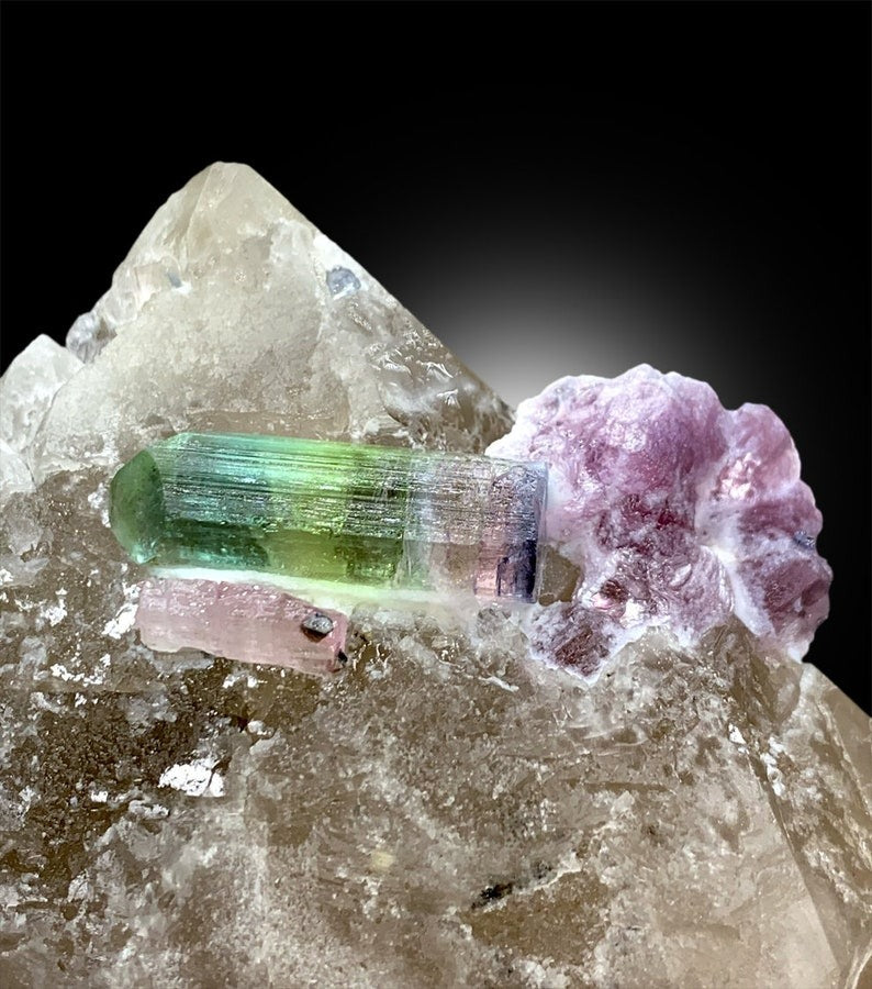 Tricolor Tourmaline with Pink Lepidolite on Quartz, Tourmaline Specimen, Tourmaline for sale, Lustrous Tourmaline, Mineral Specimen, 340 g