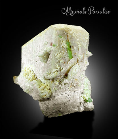 Bi-Color Tourmaline Crystal, Natural Tourmline, Tourmaline Crystal on Microcline Feldspar Albite From Paprok 821 Gram