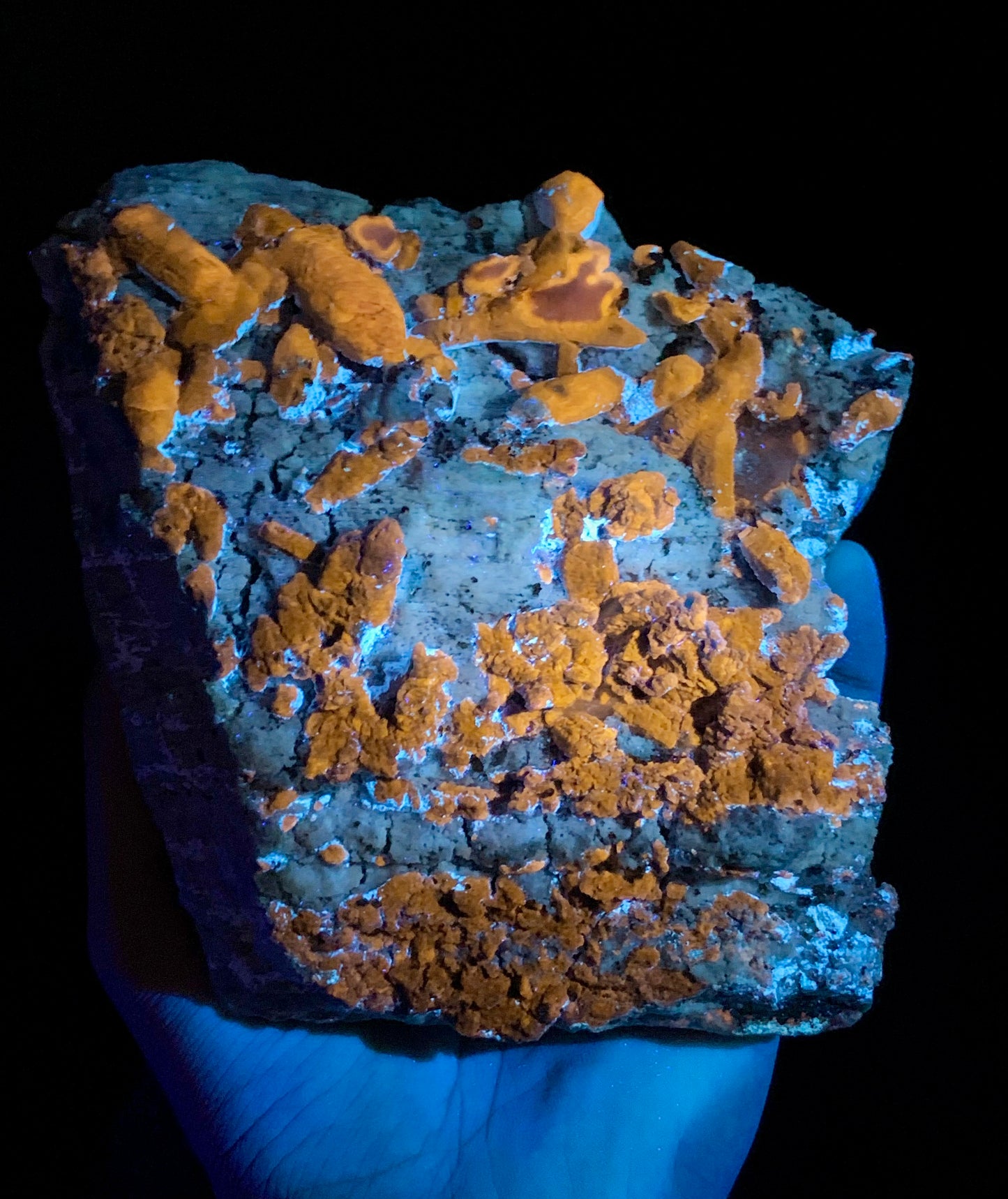 Fluorescent Afghaite crystals with Pyrite from Afghanistan, 18880 gram