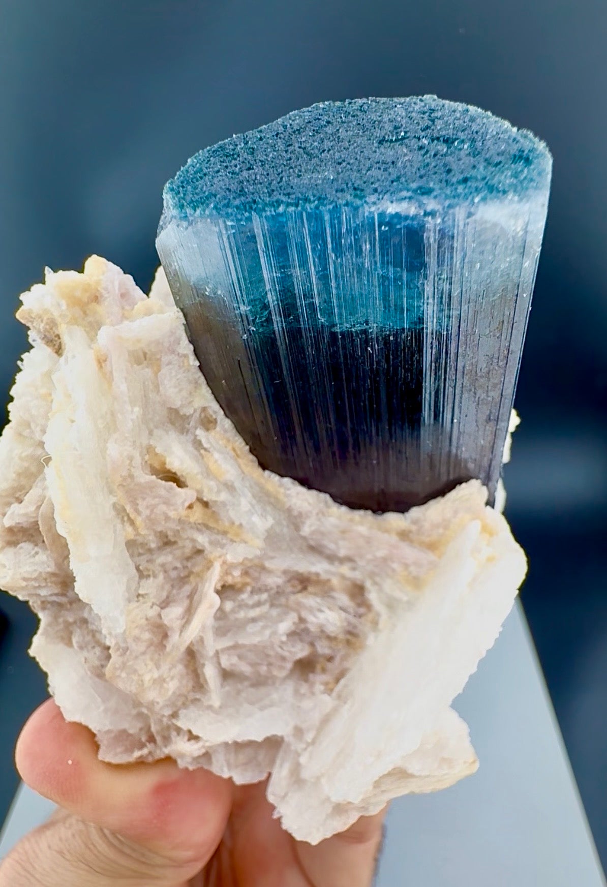 Blue Cap Tourmaline with Cleavlandite Albite from Afghanistan, 310 gran