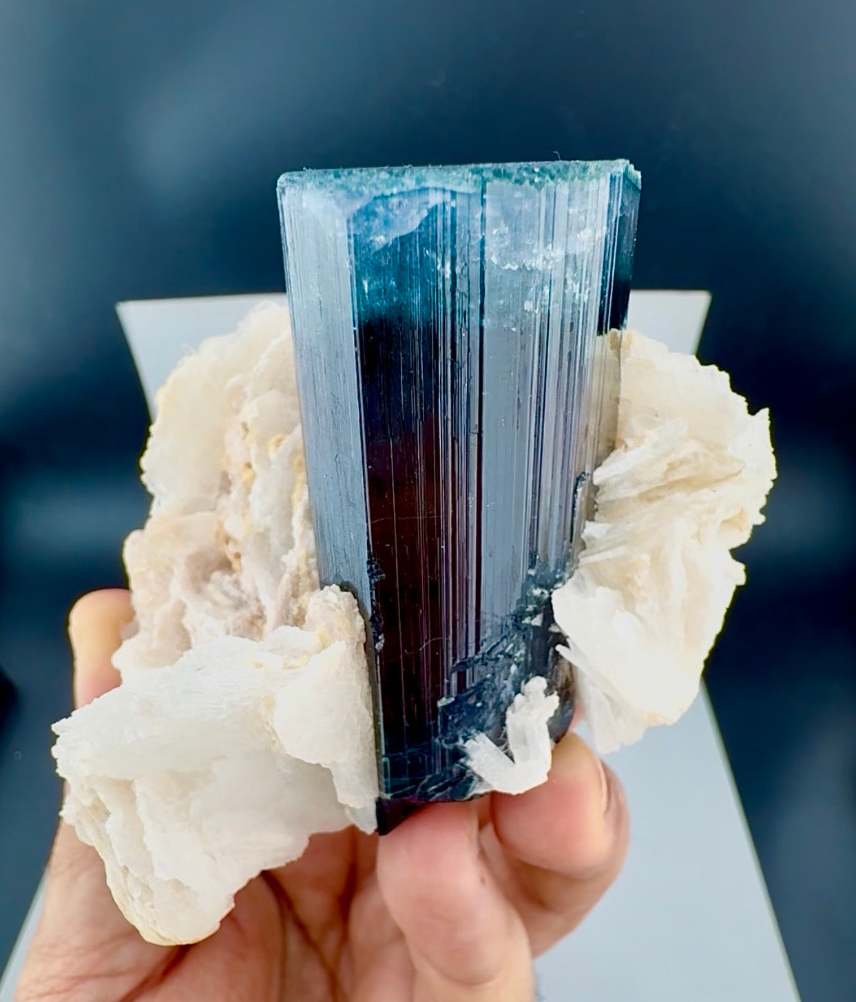 Blue Cap Tourmaline with Cleavlandite Albite from Afghanistan, 310 gran