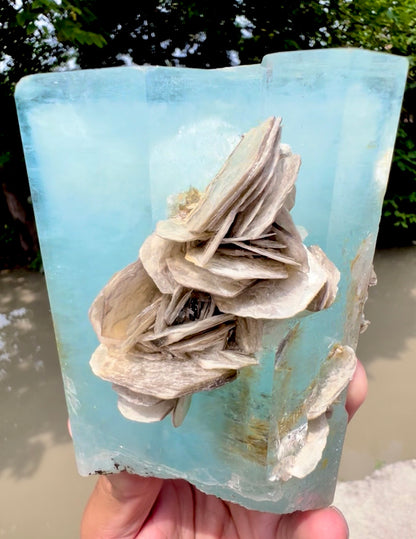 Aquamarine crystal with Muscovite Mica from Pakistan, 1433 gram