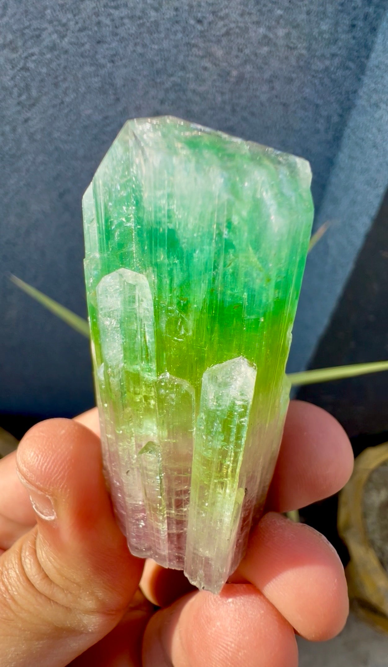 Multicolor Tourmaline Crystal from Paprok  - 76 gram