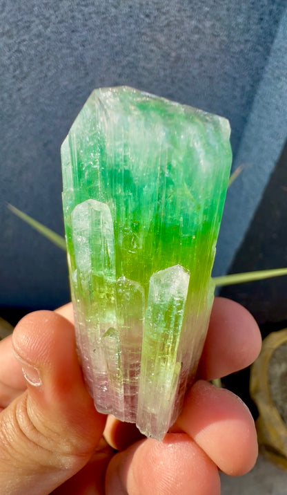 Multicolor Tourmaline Crystal from Paprok  - 76 gram