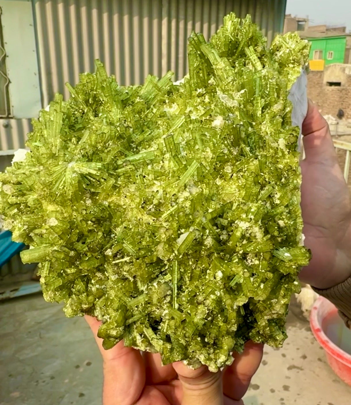 Green Tourmaline Crystals Cluster on matrix from Chapu Mine Pakistan, 3418 gram