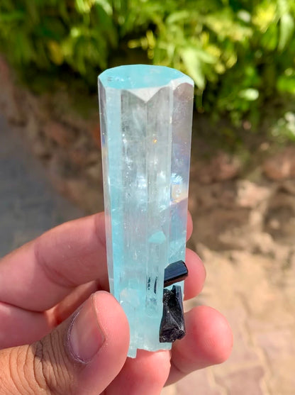 Aquamarine crystal with Schorl Tourmaline, 79 gram
