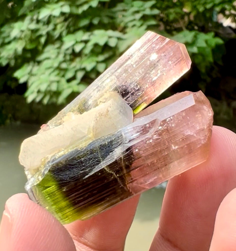 Tourmaline Crystal from Astak Nala Pakistan, 30 gram