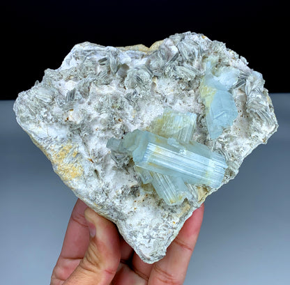 Blue cap aquamarine termination close-up color detail
Natural untreated aquamarine blue cap cluster display