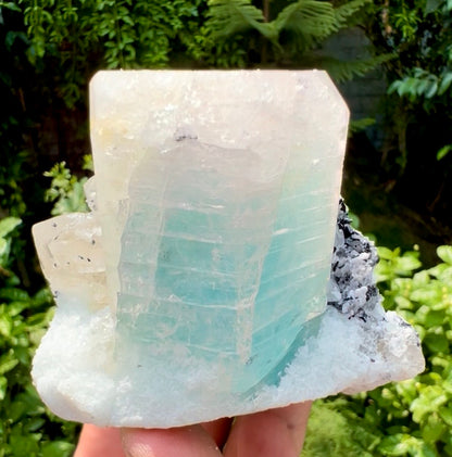 AquaMorganite Beryl with Tourmalines and Quartz on Albite from Afghanistan, 322 gram