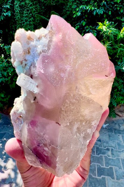 Crystallized Rose Quartz with Tourmaline on Smoky Quartz from Afghanistan, 1830 gram