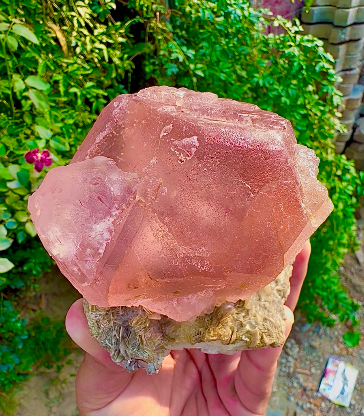 Pink Fluorite on Mica from Pakistan, 1127 gram