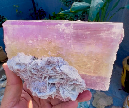 Spodumene var Kunzite with Cleavlandite Albite from Afghanistan, 1231 gram