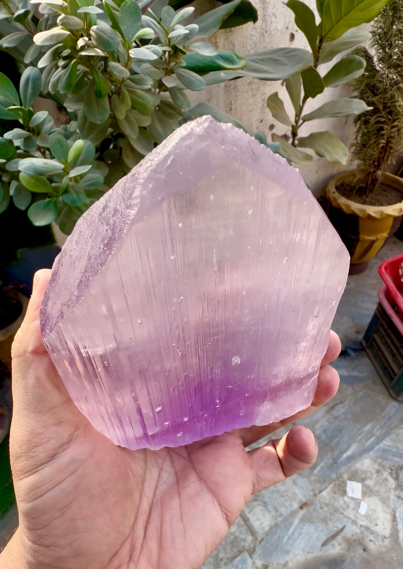 Pink Kunzite Crystal from Afghanistan, 854 gram