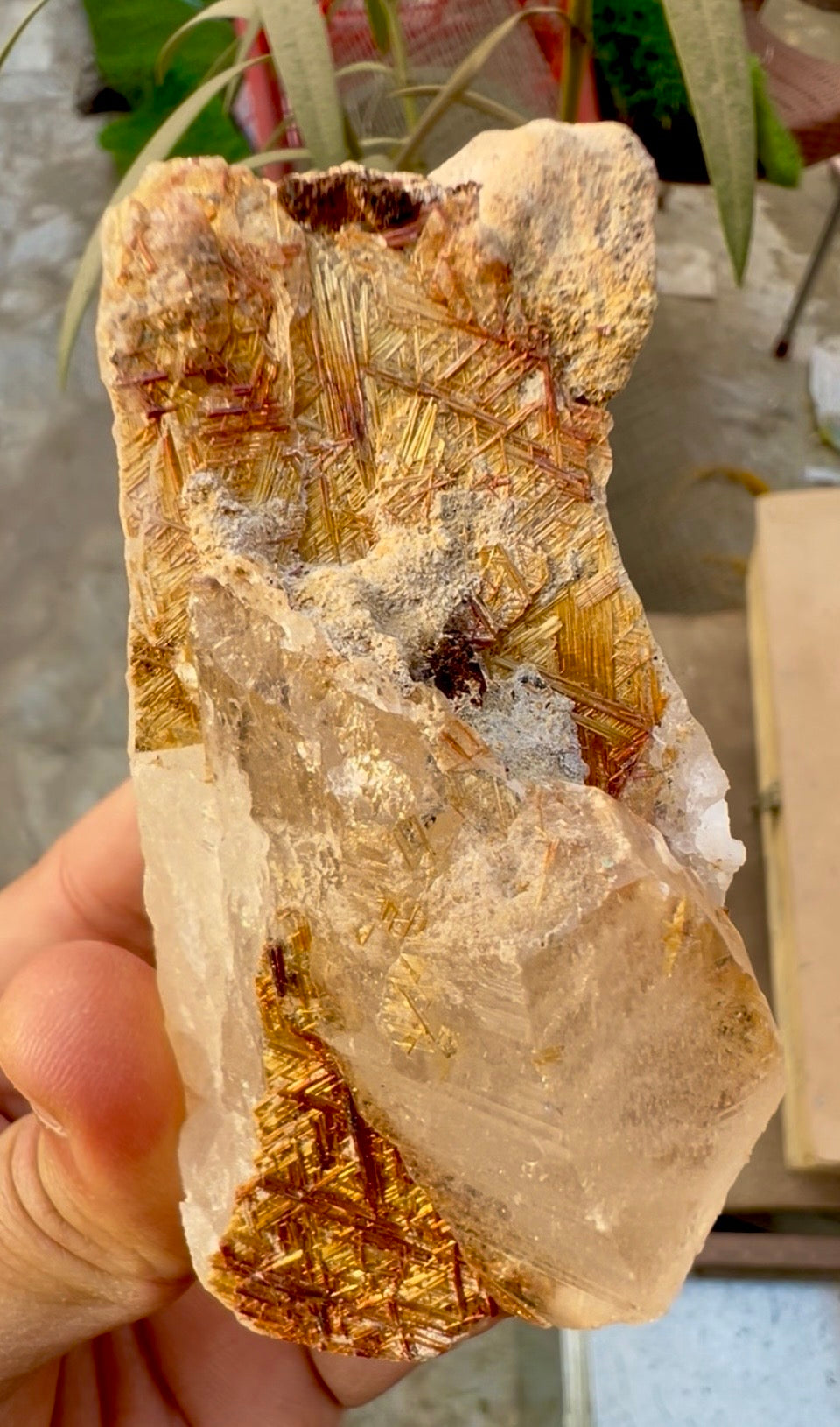 Sagenite Rutile on Quartz Crystal Specimen, Pakistan, 199 gram