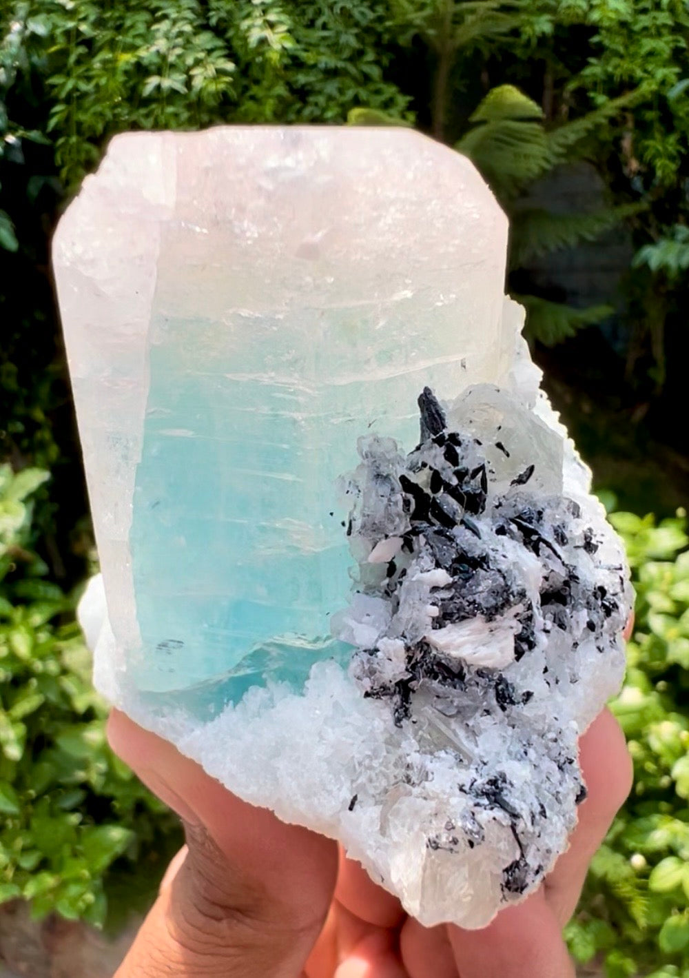 AquaMorganite Beryl with Tourmalines and Quartz on Albite from Afghanistan, 322 gram