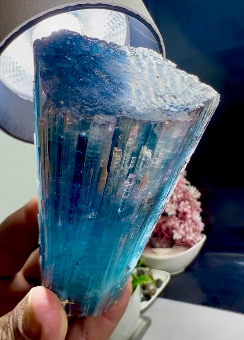 Pink Cap Indicolite Tourmaline crystal from Paprok Afghanistan , 381 gram