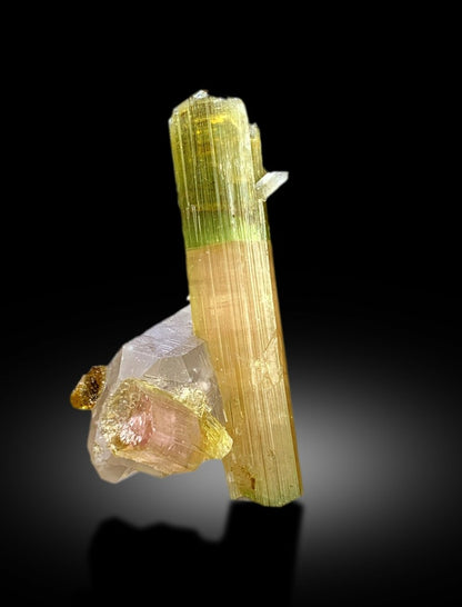 Natural Watermelon Tourmaline Crystal with Quartz, DT Tourmaline & DT Quartz, Paproke Tourmaline, Tourmaline Specimen - 67.50 CT