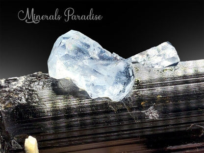 Aquamarine Crystal on Tourmaline, Natural Aquamarine, Black Tourmaline, Aquamarine Specimen, Aquamarine For Sale 132 g