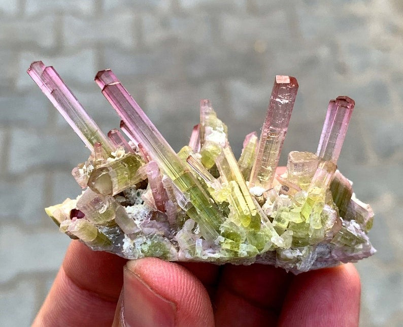 Exquisite Bicolor Tourmaline Cluster on Matrix, Tourmaline Specimen, Tourmaline from Paprok Afghanistan - 56 gram