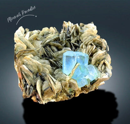 Natural Aquamarine Crystals with Muscovite Mica, Aquamarine Cluster, Aquamarine Specimen, Aquamarine for sale, 1441 gram