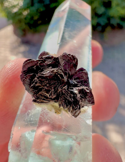 Aquamarine crystal with Hematite Flower from Pakistan, 48 gram