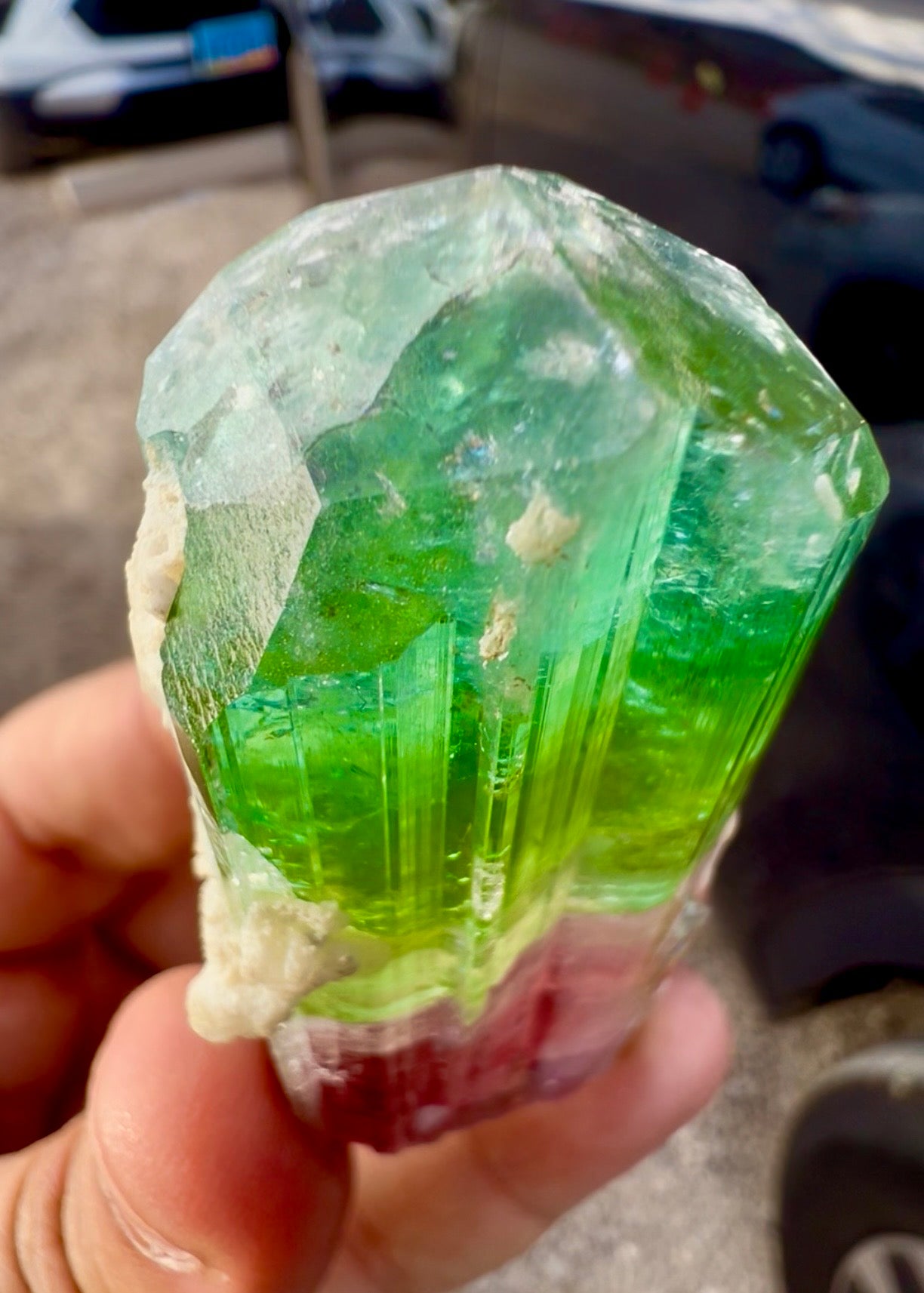 Watermelon Tourmaline Crystal with Lepidolite and Microlite from Paprok, 78 gram
