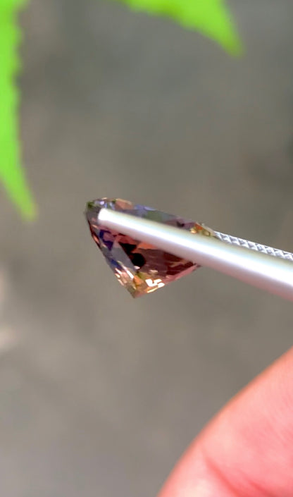 Natural Tanzanite 7.50 Ct  Round Cut | Rare Tanzanite | Merelani Mine Tanzania | Collector Gemstone