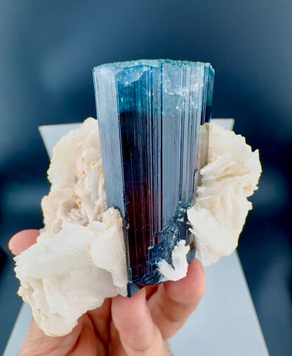 Blue Cap Tourmaline with Cleavlandite Albite from Afghanistan, 310 gran