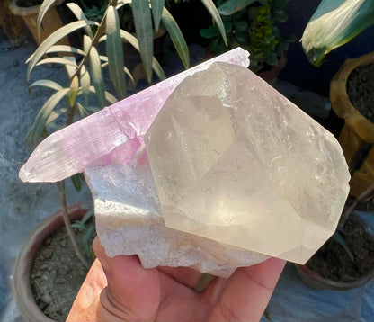 Kunzite with Quartz on matrix from Afghanistan, 740 gram