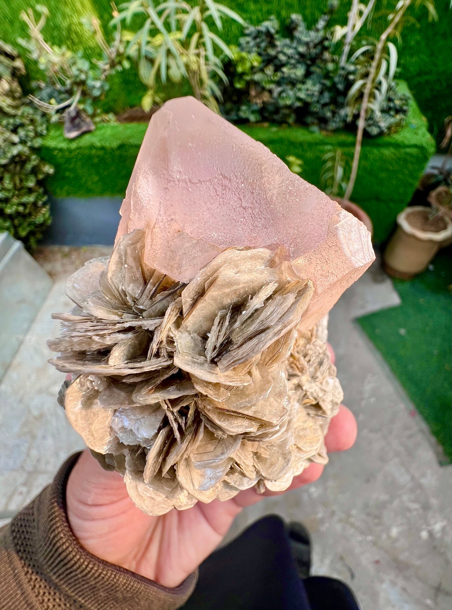 Pink Fluorite crystal on Mica, Fluorite Specimen from Pakistan, 355 Gram